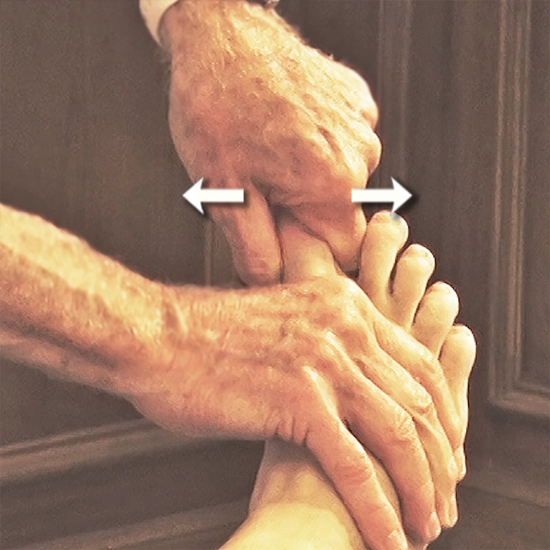 JF20_Myoskeletal6 JF20_Myoskeletal6