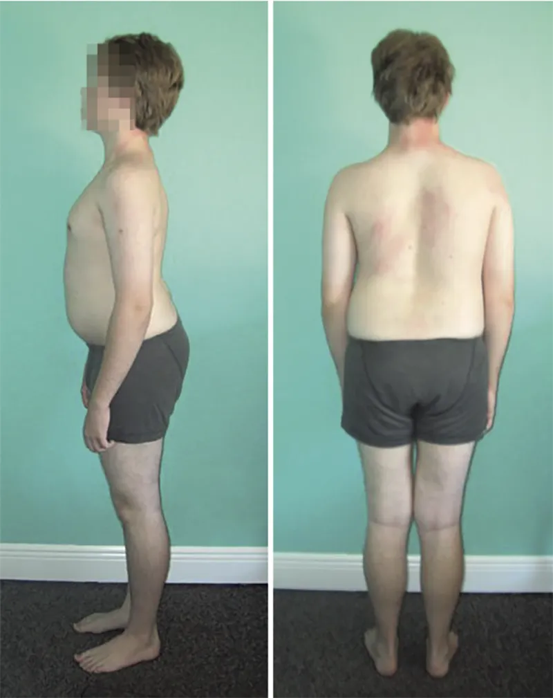 MJ_19_StructuralIntegration3_800