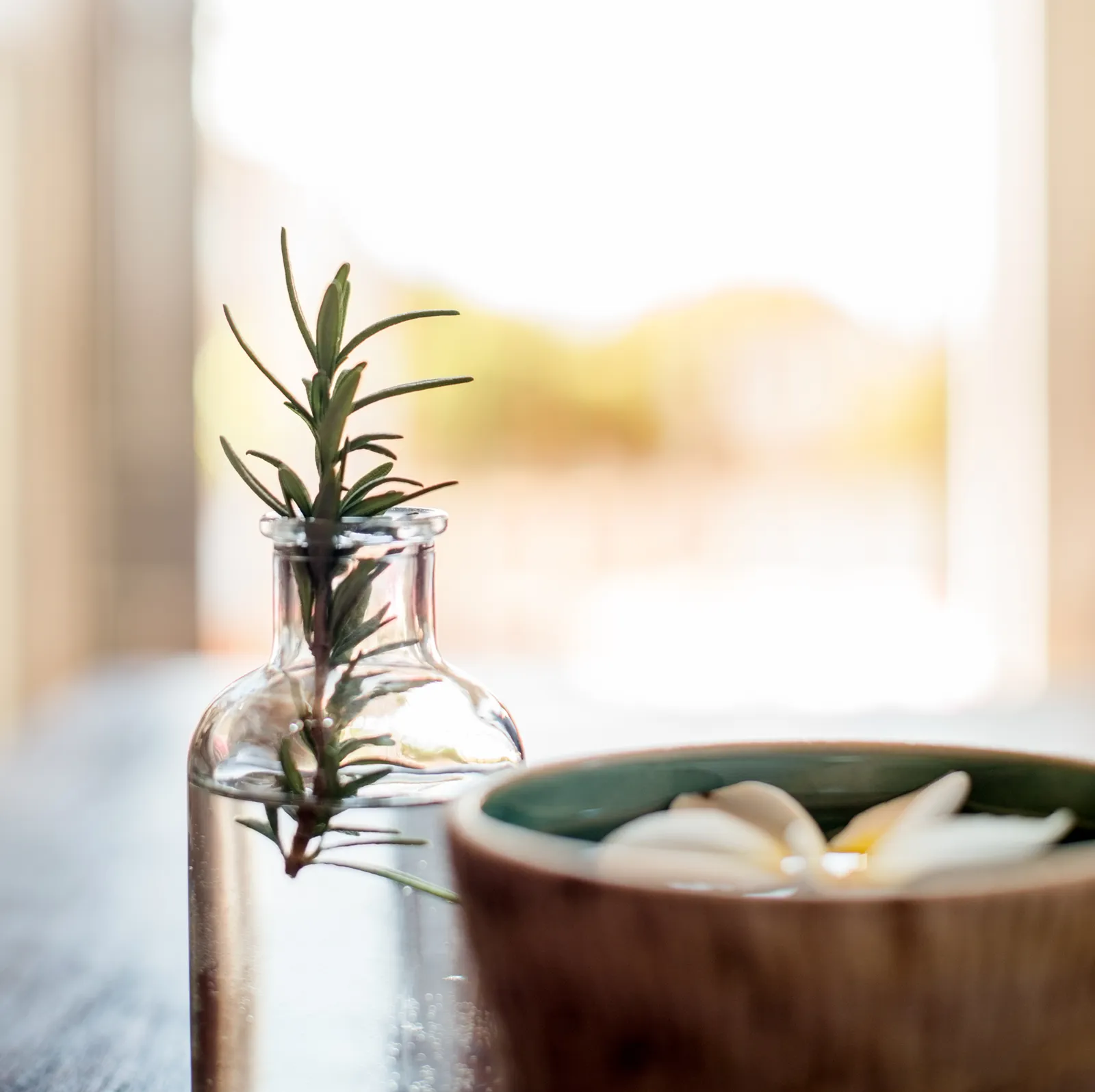 Dream Bigger Teaser Image