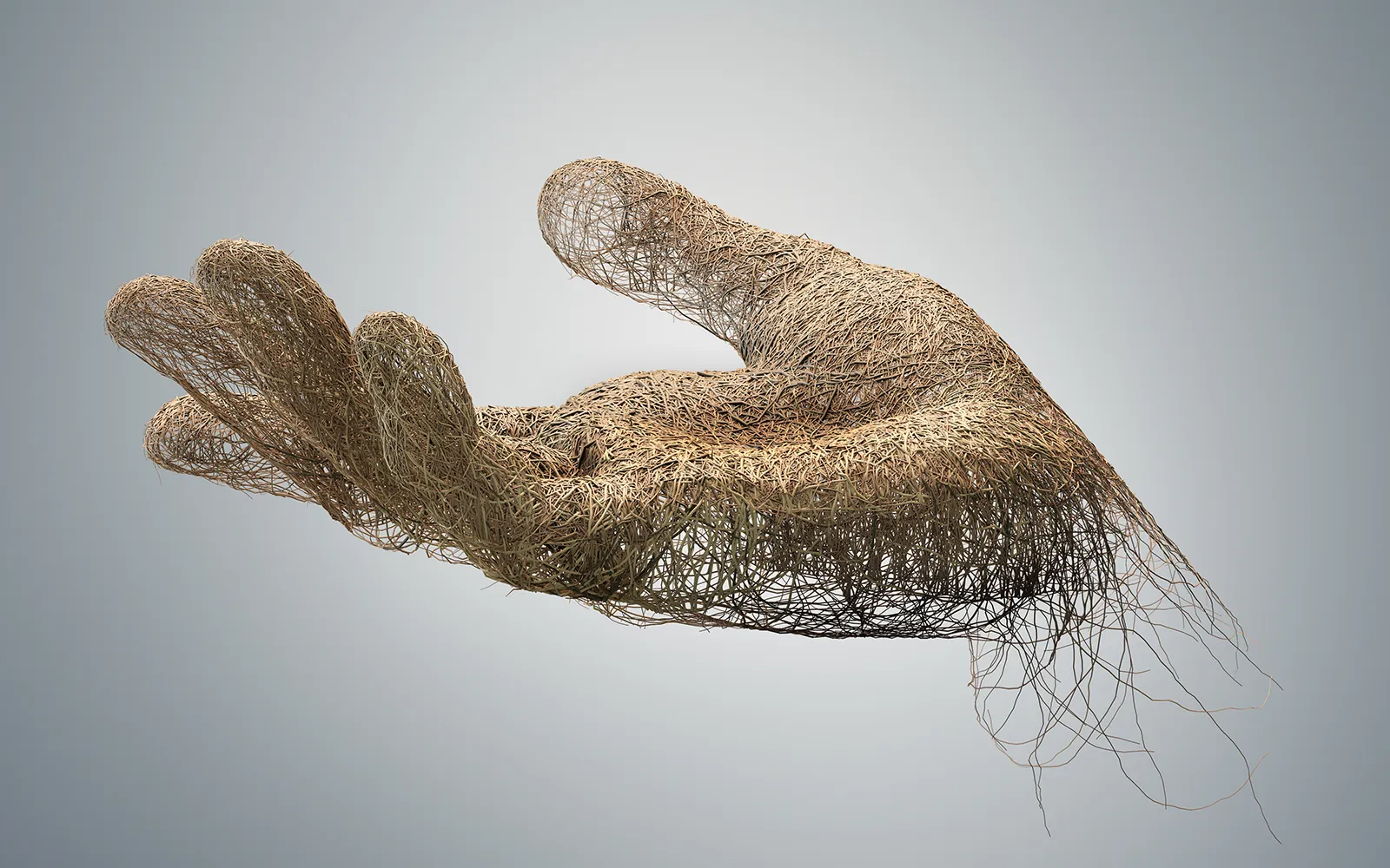 When Does the Tissue Matter? Teaser Image