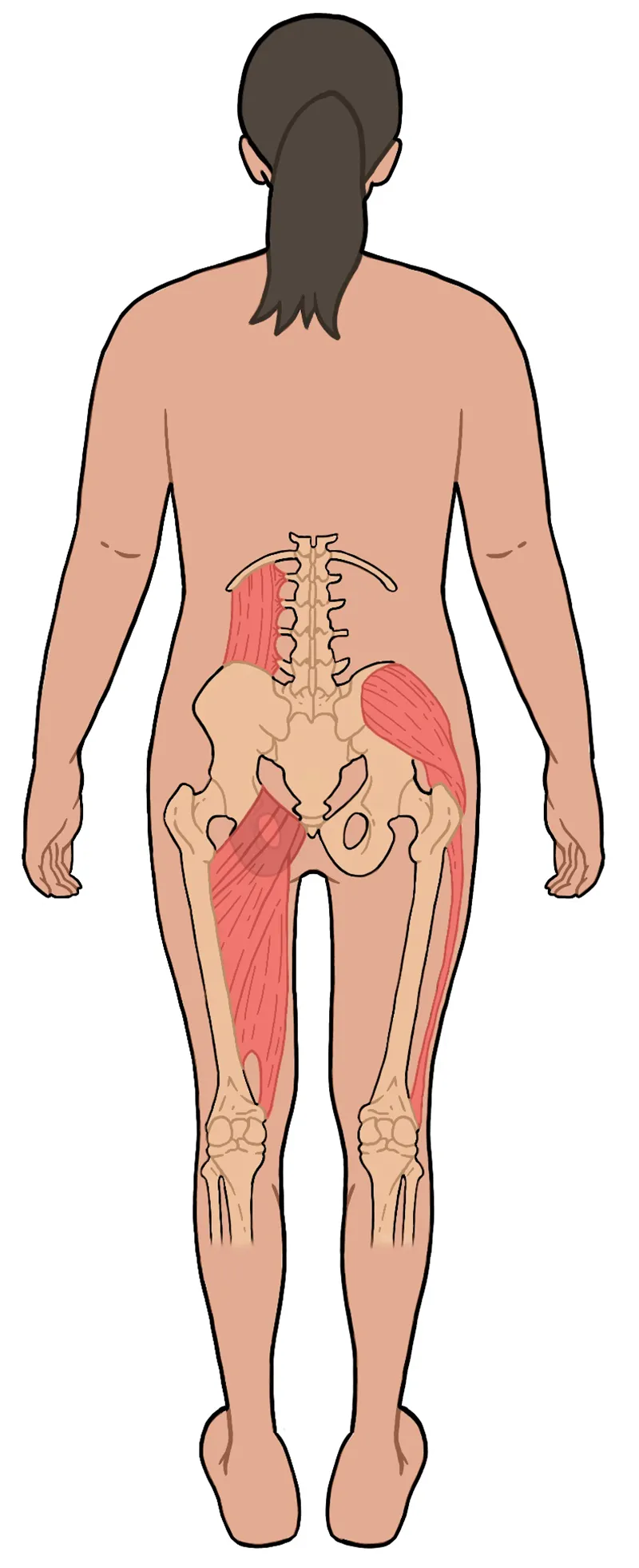 JF21_ResolvingWounds_Pelvis3 JF21_ResolvingWounds_Pelvis3