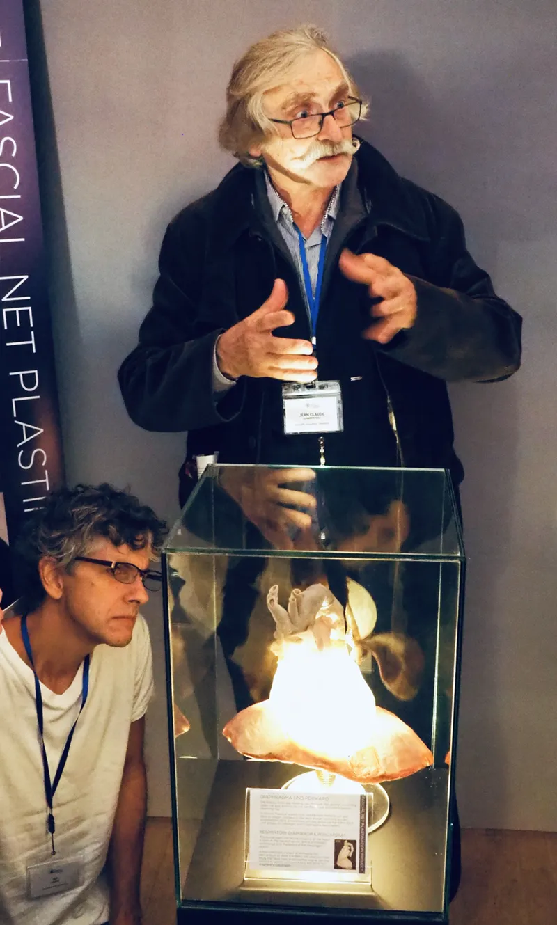 Fascia Research Congress3