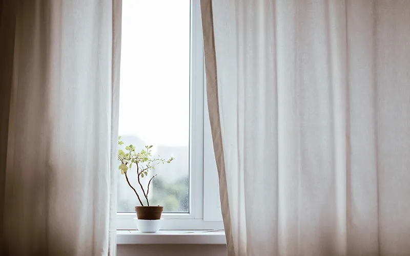 ND20_The Palmer Study4 ND20_The Palmer Study4