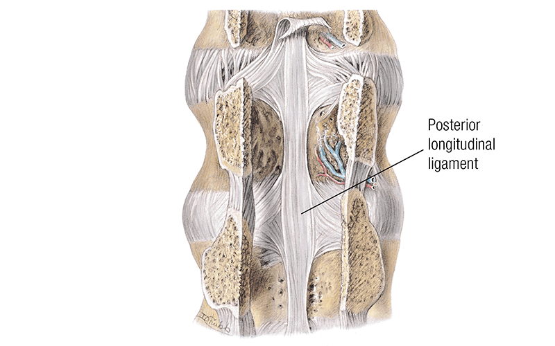 MJ_19_ClinicalExplorations4_800