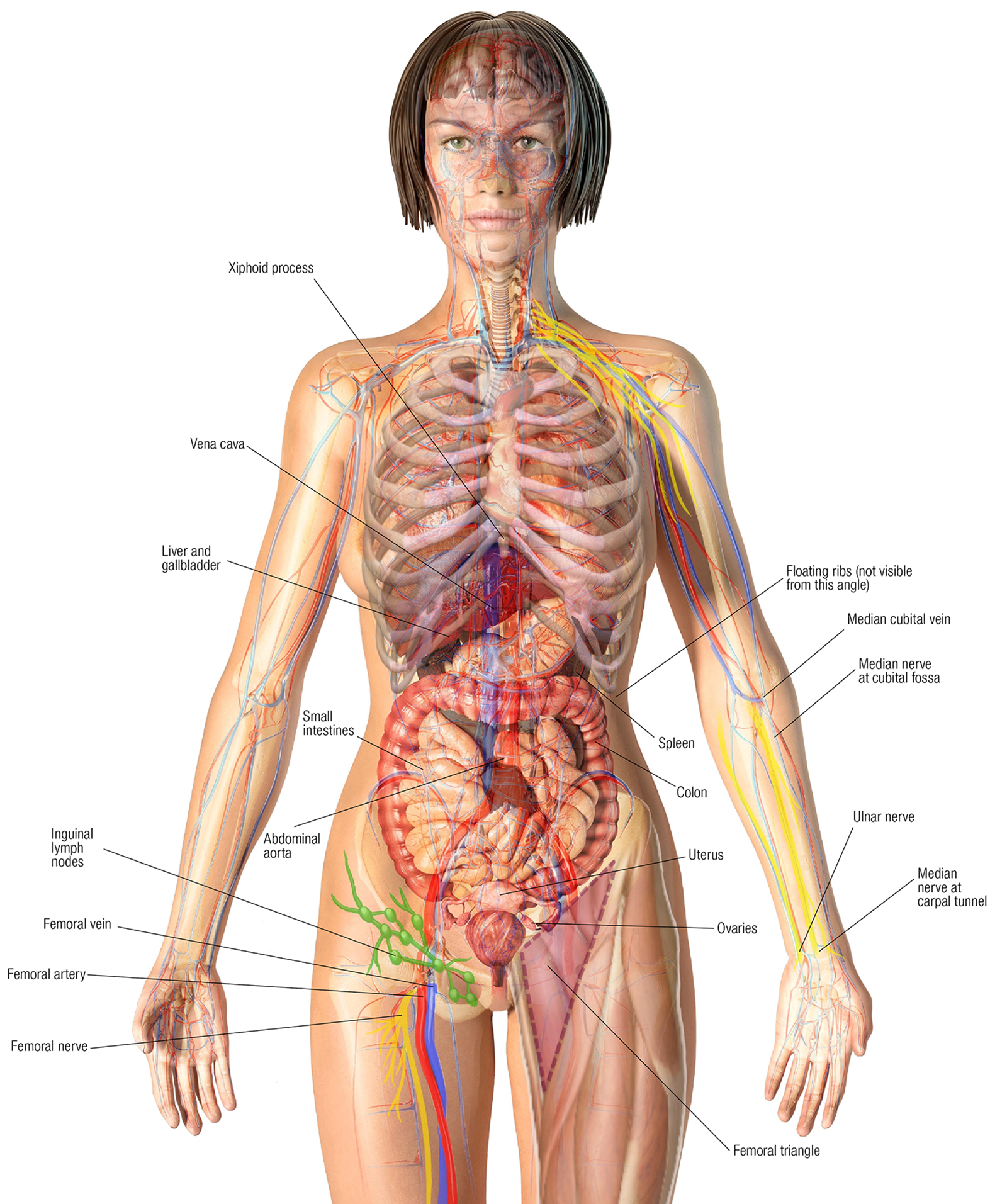 MJ20_Endangerment Sites5