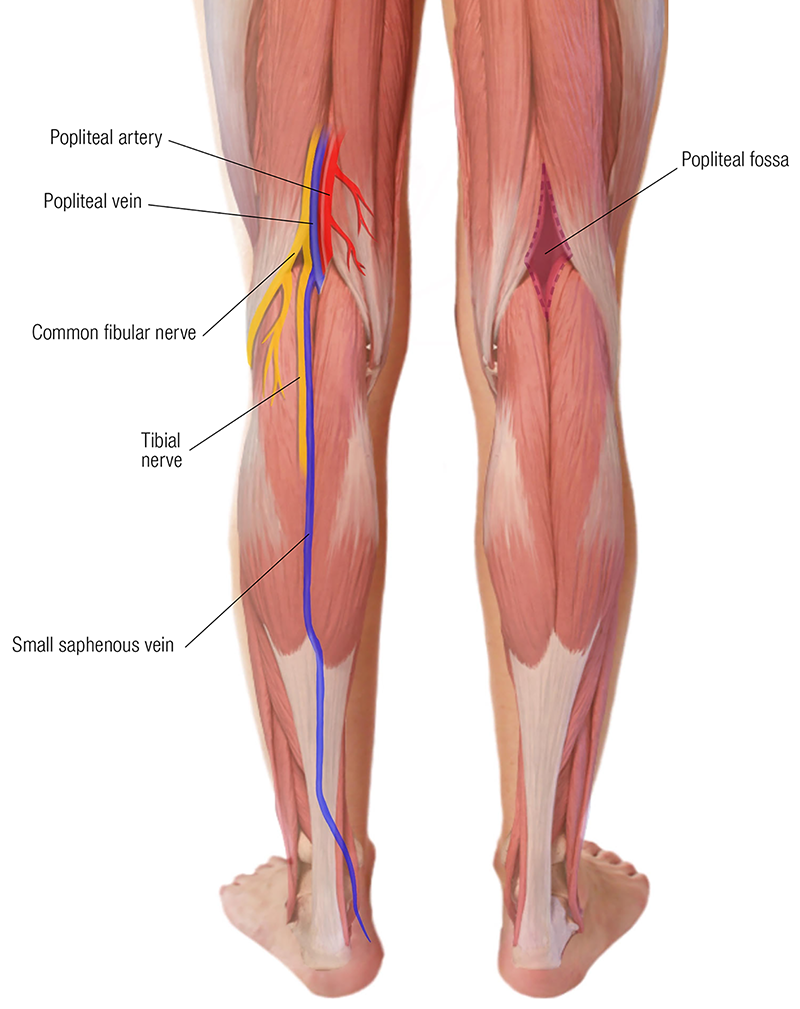 MJ20_Endangerment Sites8