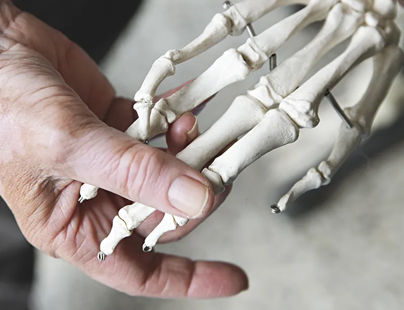 SO_19_LifeInTheBones_Stocksy_comp_2612690_800 SO_19_LifeInTheBones_Stocksy_comp_2612690_800