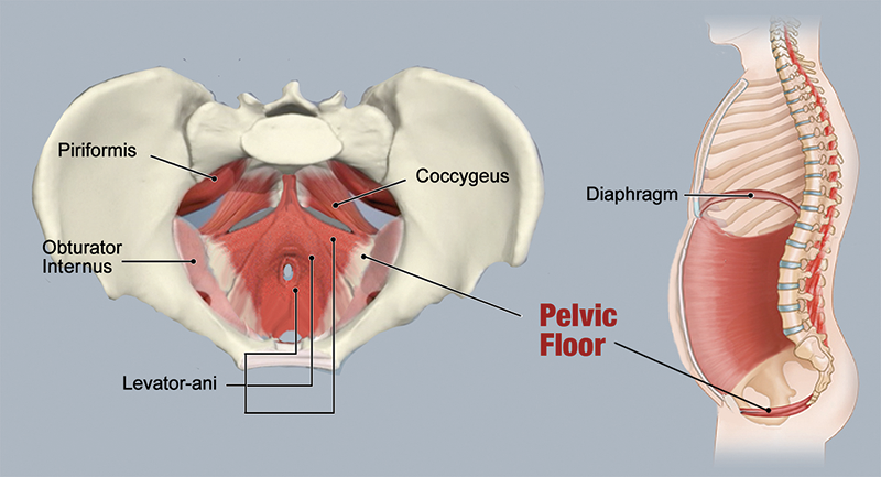 ND20_Techniques for Belly Bloat3 ND20_Techniques for Belly Bloat3