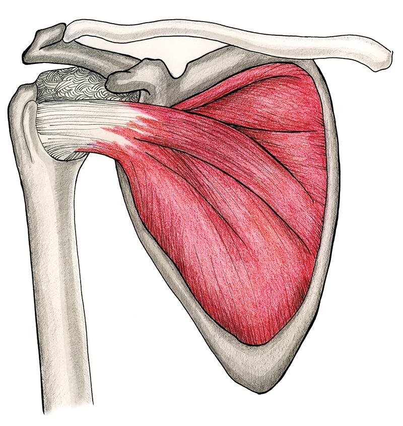 JF20_Slippery Subscap