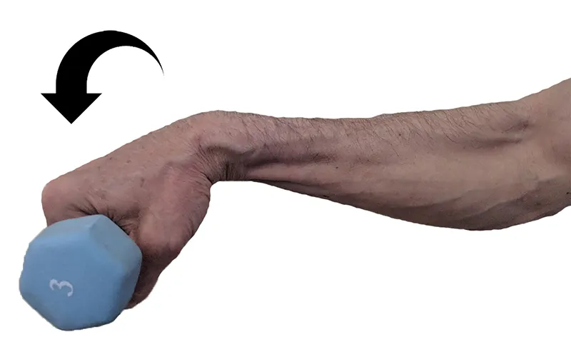 SO19_Current Views on Lateral Epicondylitis2 SO19_Current Views on Lateral Epicondylitis2