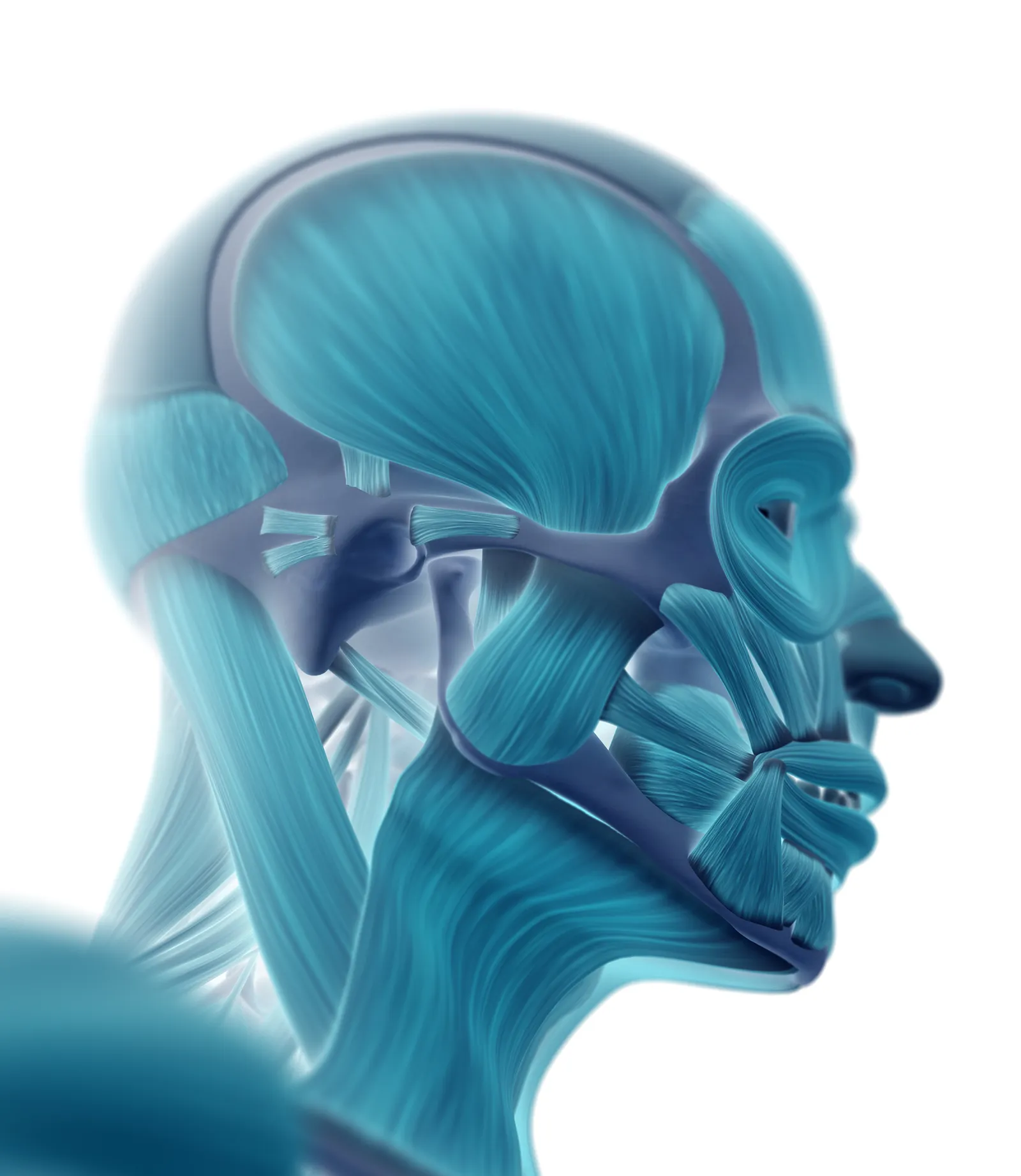 MA_19_FascialDysfunction_iStock-544967618_1600