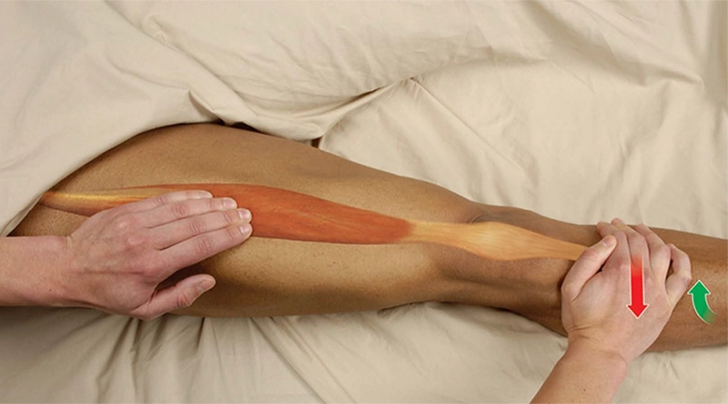 MA_20_FunctionalAnatomy2_PalpatingRectusFemoris _800